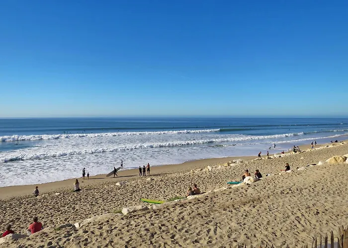 Appartement Les Terrasses De L'atlantique-8 By Interhome Lacanau